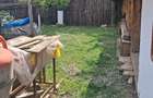 Casă cu Teren 1000 Mp în Râșca - 6