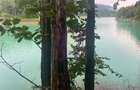 Teren cu deschidere la lac Valea Doftanei, Prahova - 11