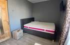 Apartament 2 Camere Mobilat si Utilat, Alexandru cel Bun, 350 - 1