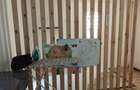 Casa Noua P+1 | 3 Dormitoare | Constructie 2026 | Albesti, Dolj - 11