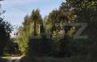 Teren intravilan, 3300 mp, zona Nord - Vistisoara
