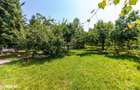 Casa/Vila tip conac, cu anexe si livada de vanzare Valenii de Munte - 7