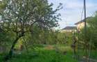Popasului  Vanzare  teren 1400mp cu casa (280eur/mp)