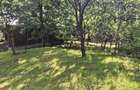 Casa 5 camere, baie, bucatarie, 134 mp, teren 1.200 mp, deschidere 45m - 7