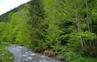 House for sale, 5 Rooms, 180 sqm, Valea Dejani - 7