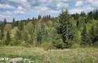 Teren 4048mp Campulung Moldovenesc, Strada Izvorul Alb, Suceava - 18