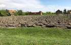 Vand teren intravilant - 2