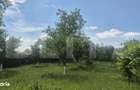 Proprietate de vanzare, teren 5488 mp, localitatea Ambud, comuna Paule - 5