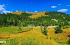 TEREN INTRAVILAN 2000 mp 32 m la drum Acces DN17A, BUCOVINA! - 3