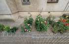 Apartament 3 camere decomandat-Oltenita-Calarasi - 14