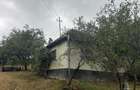 Casă cu 3 camere cu Teren 4500 Mp în Băița - 2
