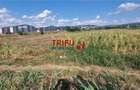 Teren intravilan 5.756 mp cu acces direct la Soseaua de Centura Alba - 8