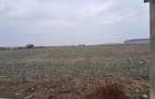 Teren intravilan Dragomiresti-Deal, Str. Ulmului, 3400mp - 5