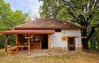 Poiană privată, pădure și cabană | Proprietate cu potențial turistic - 1