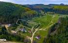 Teren intravilan de 1 ha cu vedere la munte Zarne?ti, Brebina - 7