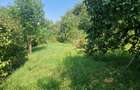 Teren intravilan, construibil, 891 mp, Zona Feleacu - 2