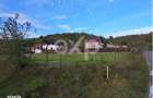 Teren intravilan 1.000 mp | Babana | Stradal | Asfalt | Utilitati la l - 1