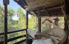 Casa P+M, 777 mp teren, Breasta - 4