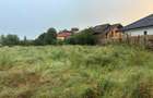 Teren intravilan 4.000 mp | Mogosoaia | Dubla deschidere - 4