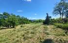 Direct proprietar Vand teren ciurea - 1