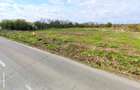 Teren intravilan 1.900 mp Buturugeni, Giurgiu (direct proprietar) - 2