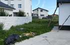 Duplex comuna Berceni - 8