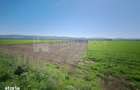Teren extravilan, 8700 mp, pretabil agricultura sau investi?ie - Bod - 3
