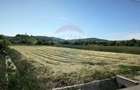 Teren de vanzare Blajel, jud. Sibiu | 15.360 mp - partial intravilan - 8