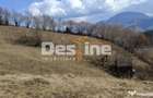 Teren 5000 mp, ideal cabana, pensiune, in zona de interes... - 4