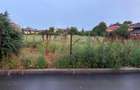 Teren intravilan 4.000 mp | Mogosoaia | Dubla deschidere - 3