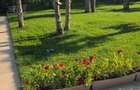 Vila zona Iancu Nicolae - 4