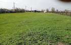 Teren intravilan 4000m2 - In centru - Deschidere la 3 strazi - 1