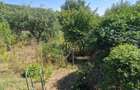 Casa in mediu rural cu teren