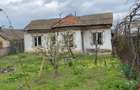Casa la rosu in Milcov Olt - 4