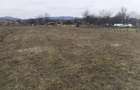 Teren de 3000 mp, în Vața de Jos