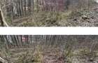 Teren 338mp, cu proiect bloc garsoniere D+P+E+M - Sinaia - 9