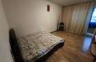 Garsoniera ANL Brancusi Valea Oltului Drumul Taberei - 5