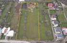 Teren de vanzare 10.000 mp Campina, zona Voila (Strada Dealului) - 4