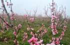Teren de vanzare 6 hectare - 1