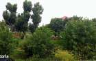 Apartament 2 camere zona Prelungirea Mihai Viteazu - 2