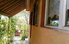 Casa de vanzare la Saraiu - 3