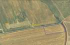 Teren Albota zona Statiune Papillon 10.000 mp intabulat asfalt - 4