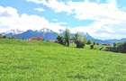 Bran Sohodol,5783 mp,P+E+M-Ideal pensiune /proiect turistic,Comision0% - 11