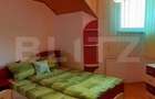 Casa de vacanta in inima naturii Ramet, Valea Manastirii - 3