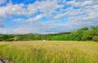 Teren intravilan de vanzare com. Chinteni | 2.900mp | - 6