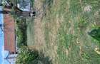 De vanzare casa, curte ?i gradina in Ora?tie - 5