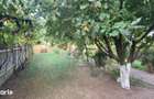 Vila-Premium-8-Camere-Teren-800mp-Panouri-6kw-Magazin-Inclus - 1