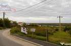 Teren de in Delta Dunarii - Mahmudia (Tulcea) - 3
