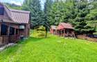 Cabană – Mureș – Sălard – Zona Pensiunea Denisa - 5