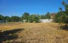 De Vanzare - Teren Intravilan 463mp Cazasu, Str.Cimbrisorului - 4